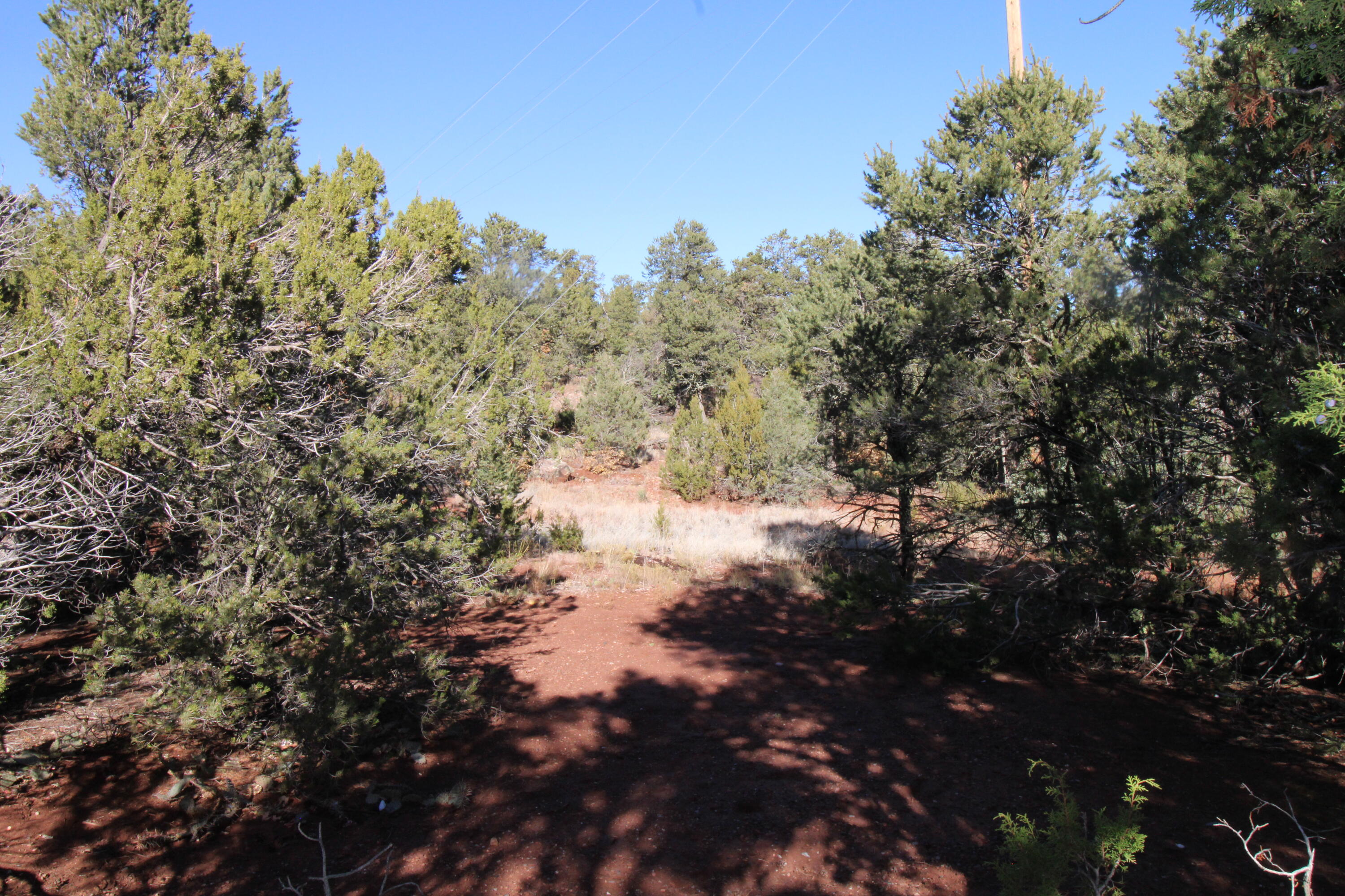 Pinon Cove