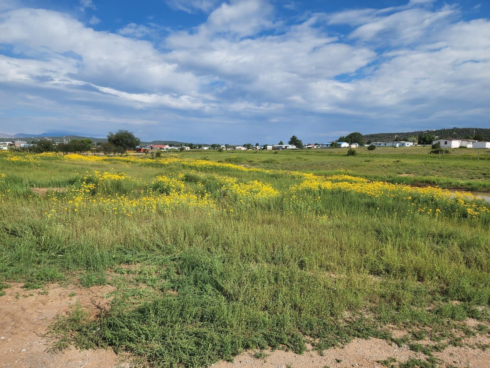 33 Equestrian Trail