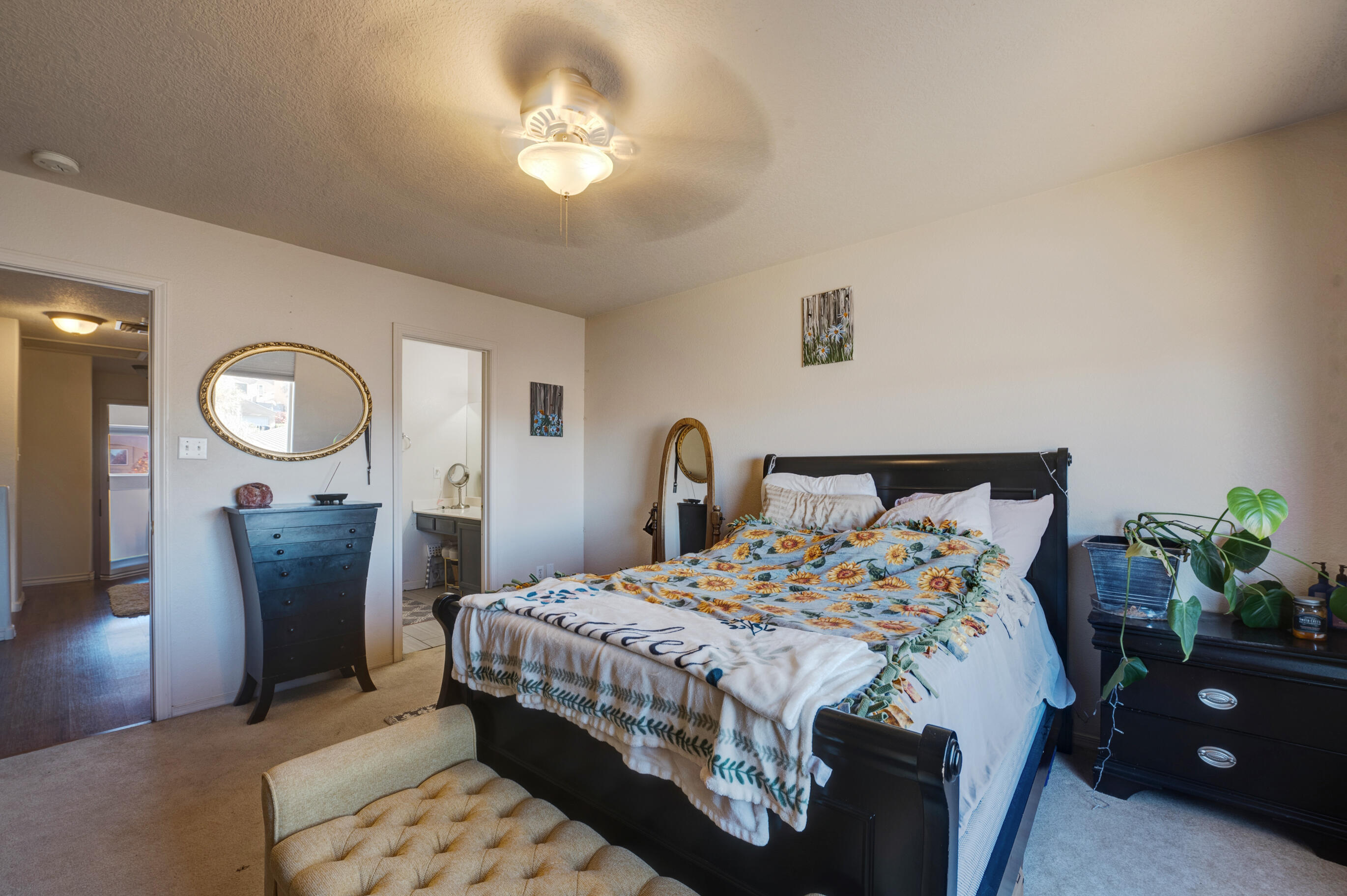 590 Angel Loop