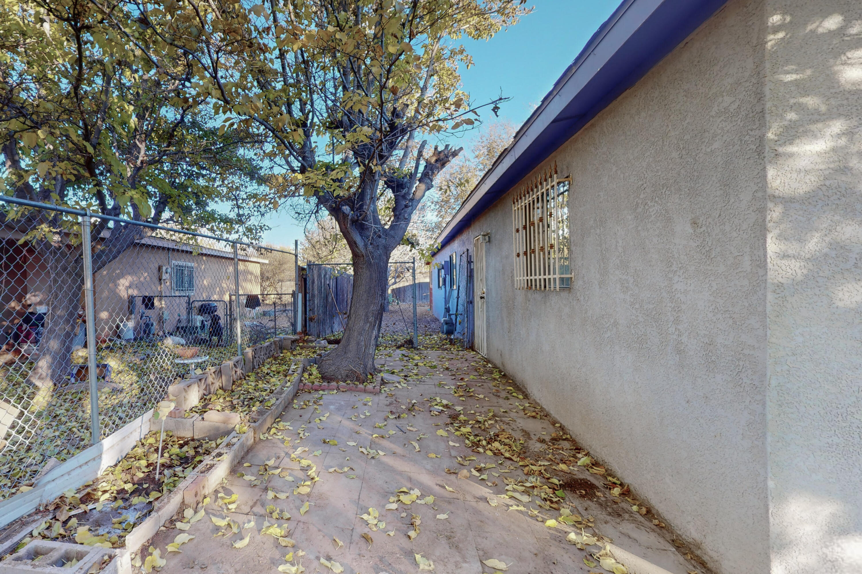1138 Maple Street