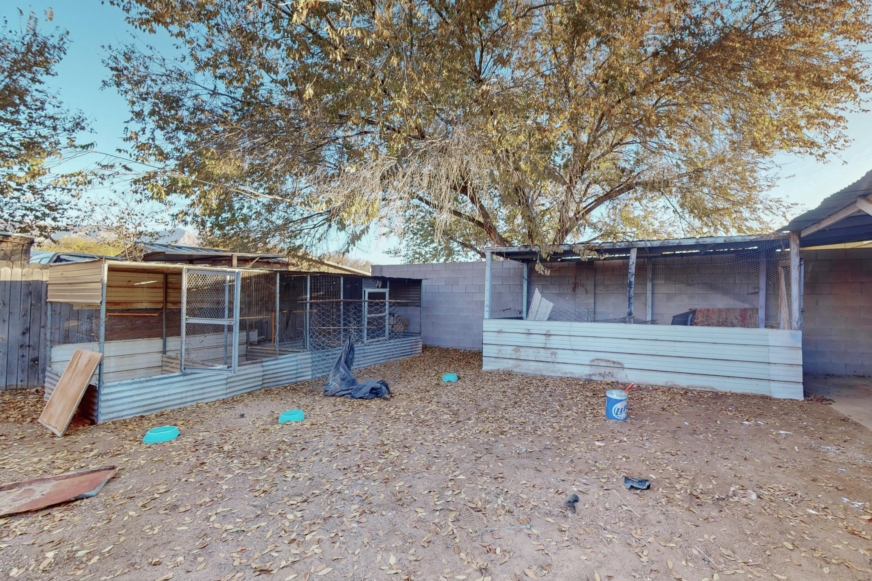 1138 Maple Street