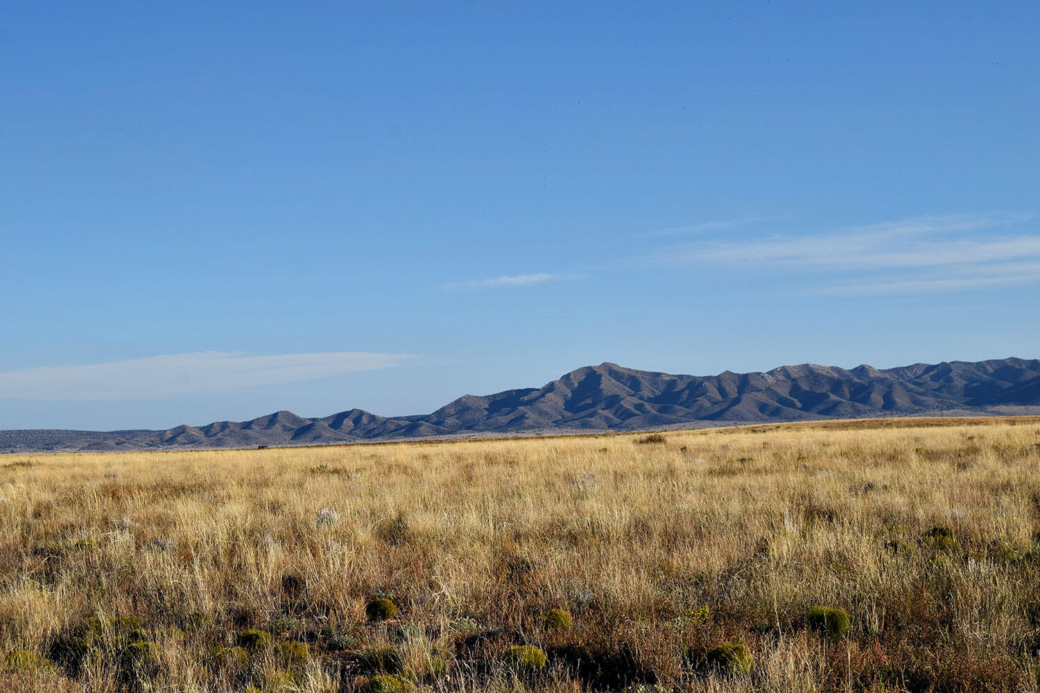 Lot 9 Echo Circle