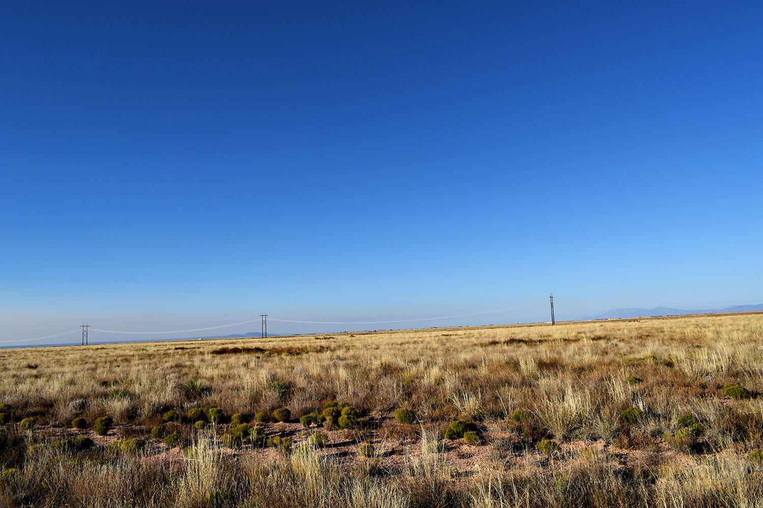 Lot 9 Echo Circle