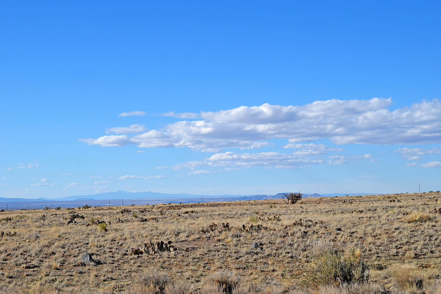 Lot 6 Canyon Del Rio 11