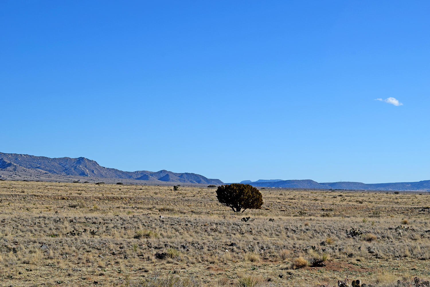 Lot 6 Canyon Del Rio 11
