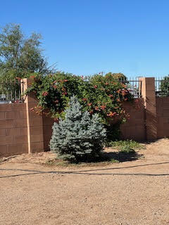 504 Brianna Loop