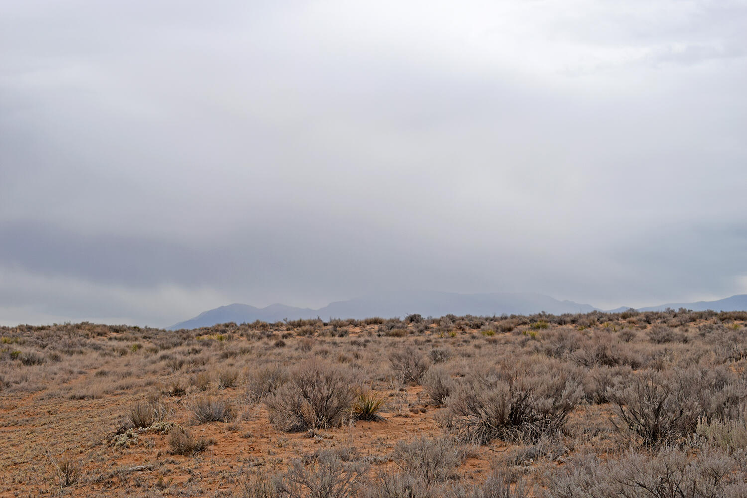 Lot 6 Rio Grande Estates V