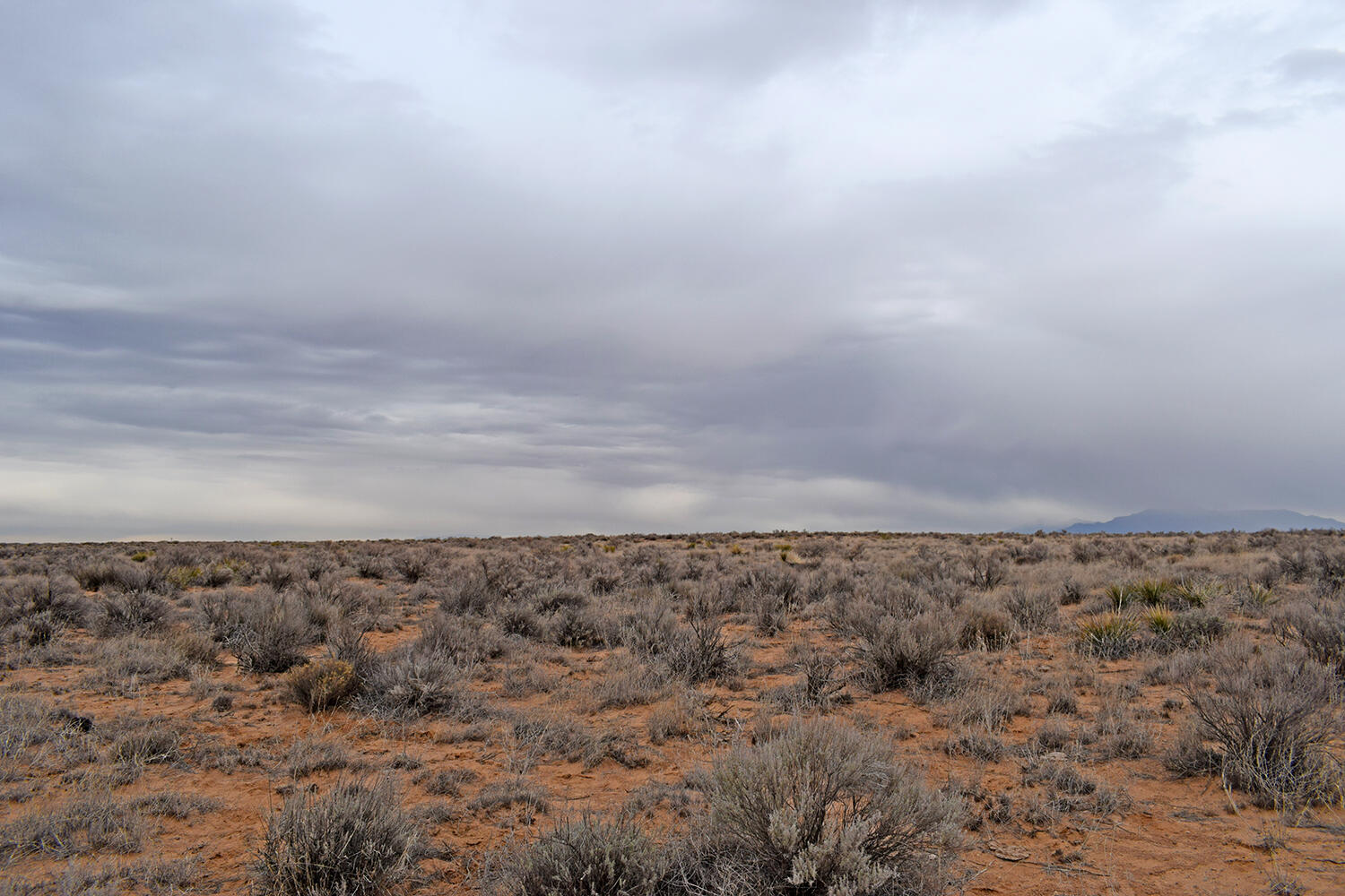 Lot 6 Rio Grande Estates V