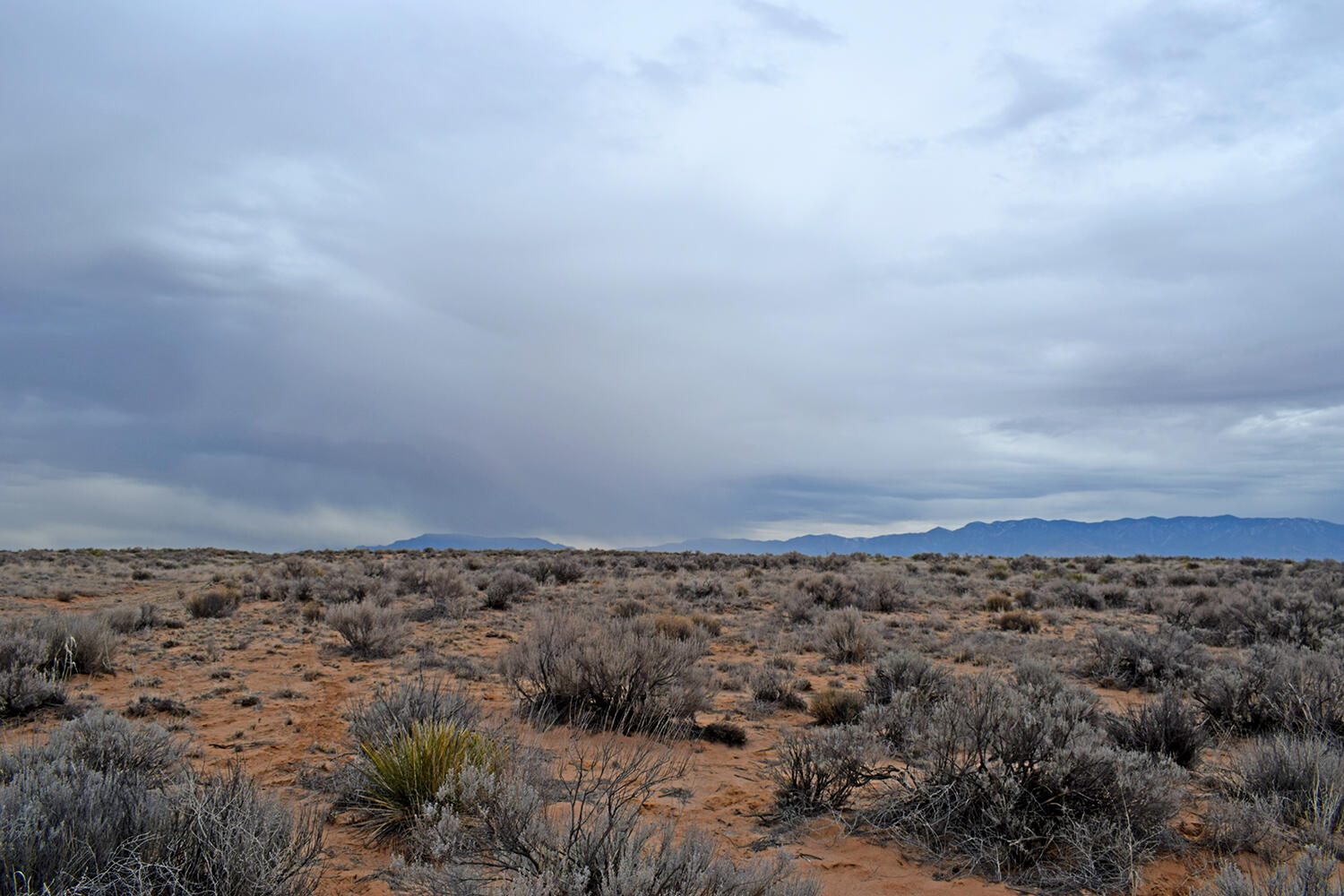 Lot 6 Rio Grande Estates V