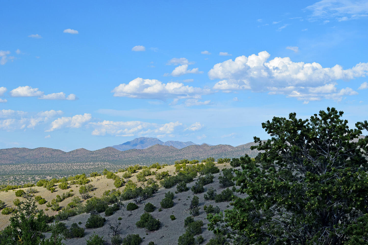 8 Overlook Way