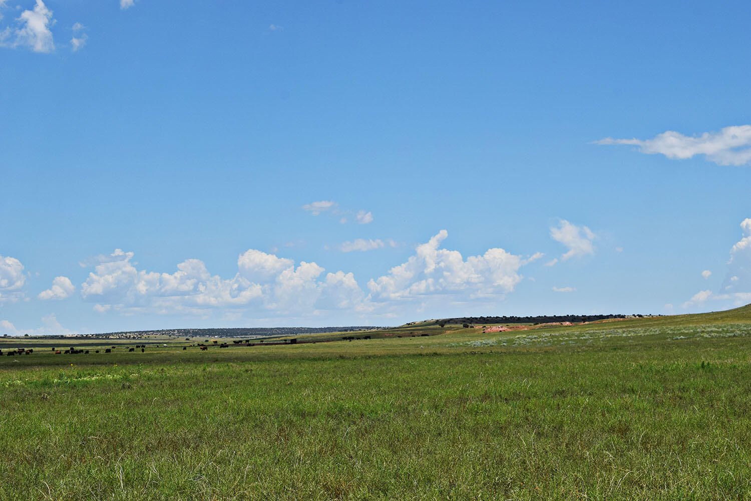 Lot 3 Estancia Ranchettes 5