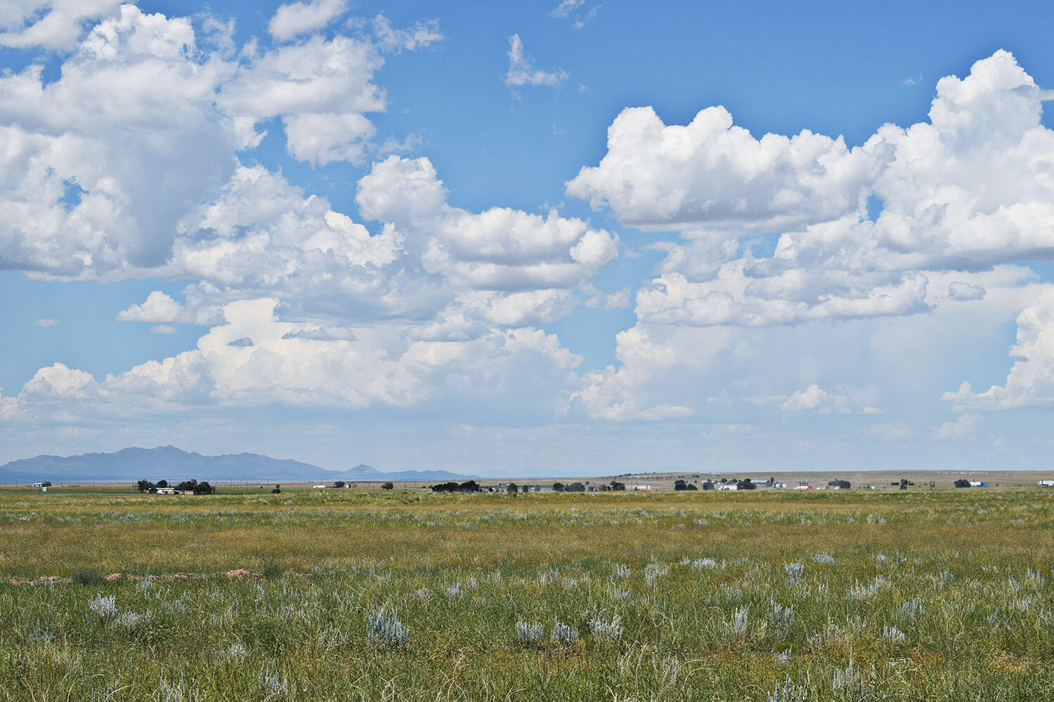 Lot 5 Estancia Ranchettes 4