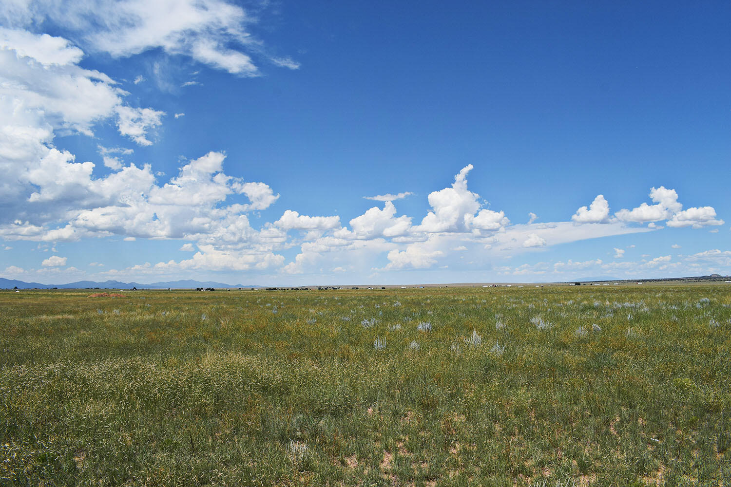 Lot 5 Estancia Ranchettes 4