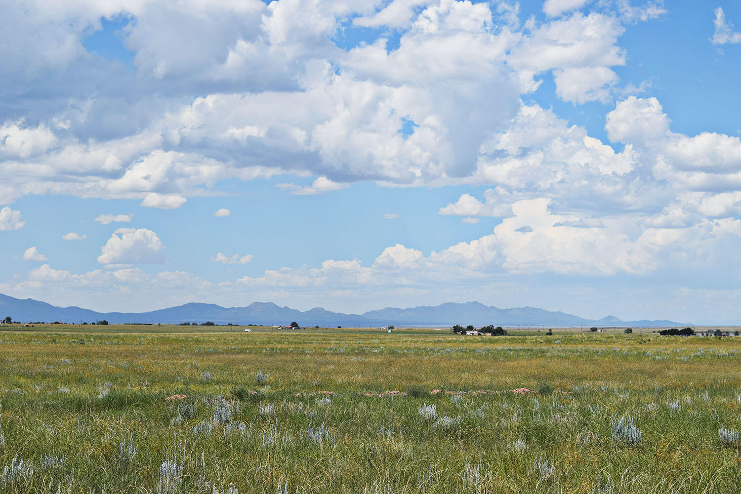 Lot 5 Estancia Ranchettes 4