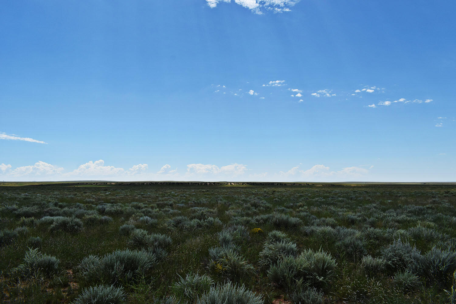 Lot 34-35 Estancia Ranchettes 7