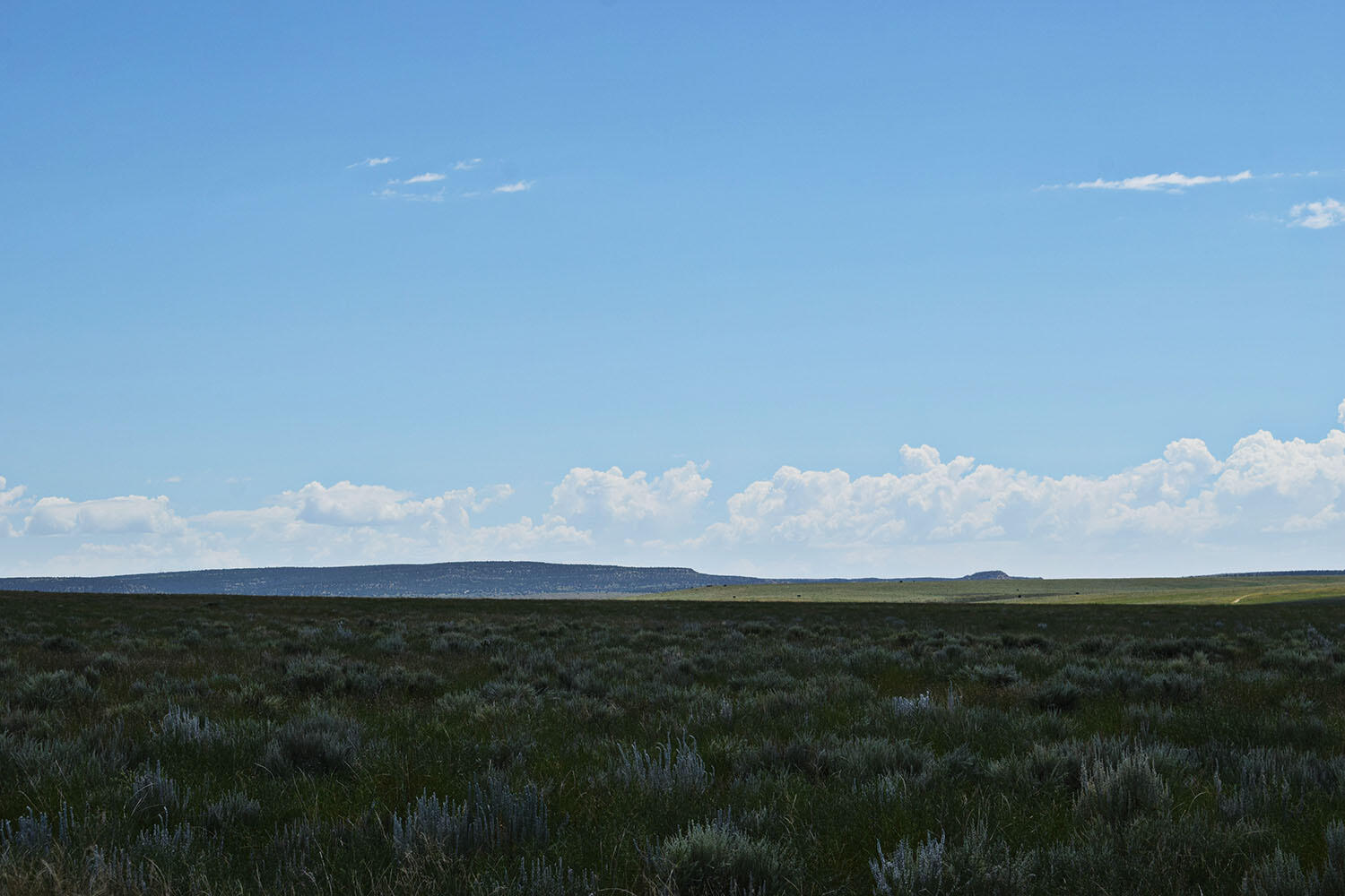 Lot 34-35 Estancia Ranchettes 7