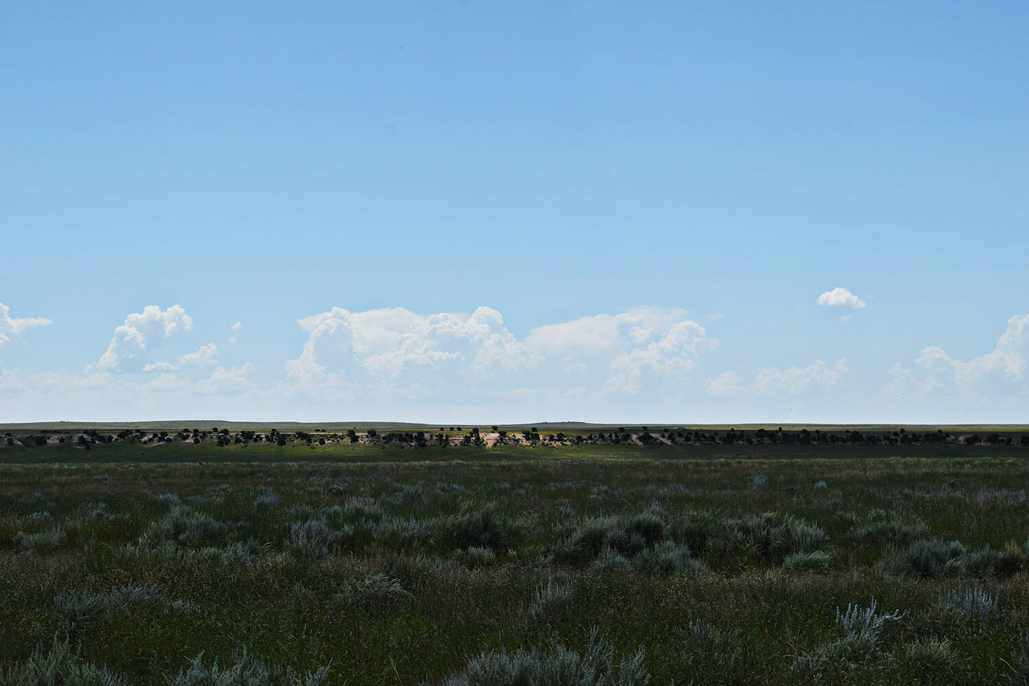 Lot 34-35 Estancia Ranchettes 7