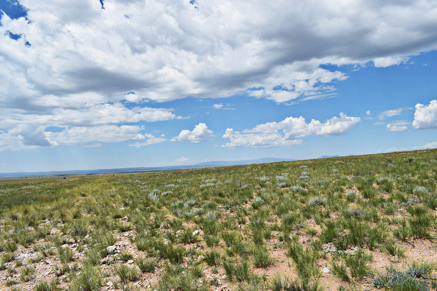 Lot 36 Estancia Ranchettes 6