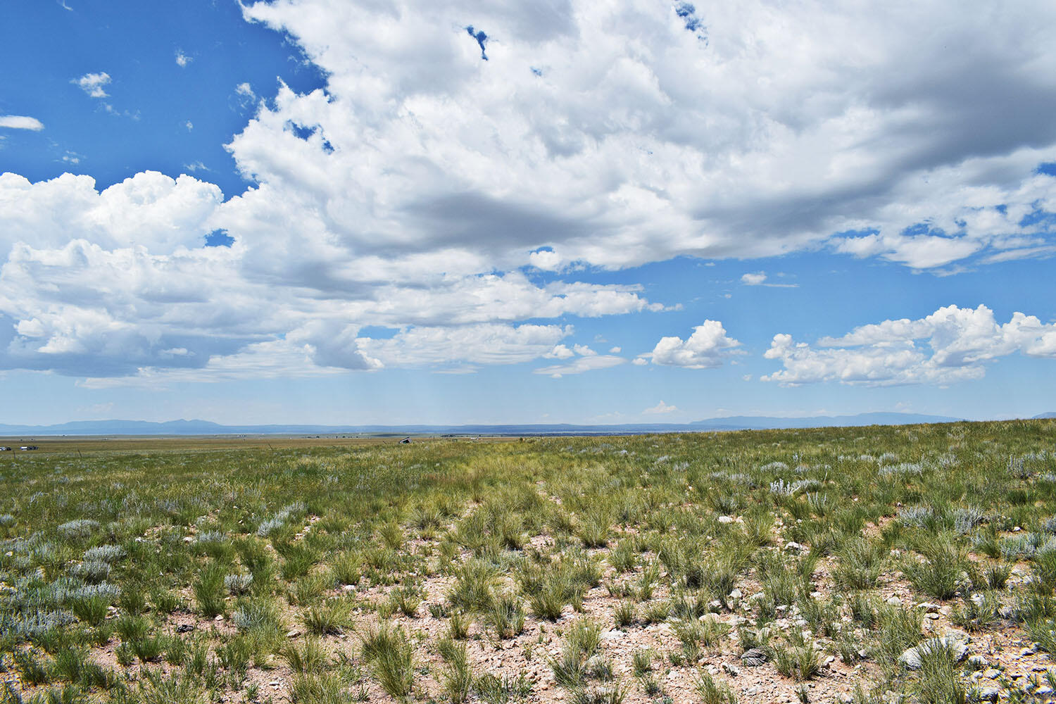 Lot 36 Estancia Ranchettes 6