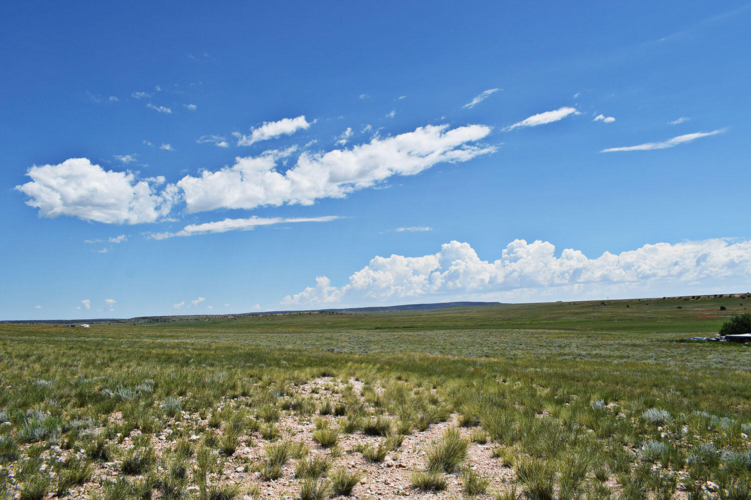 Lot 36 Estancia Ranchettes 6