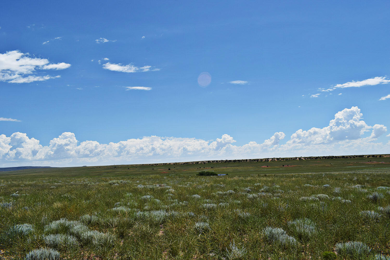 Lot 36 Estancia Ranchettes 6
