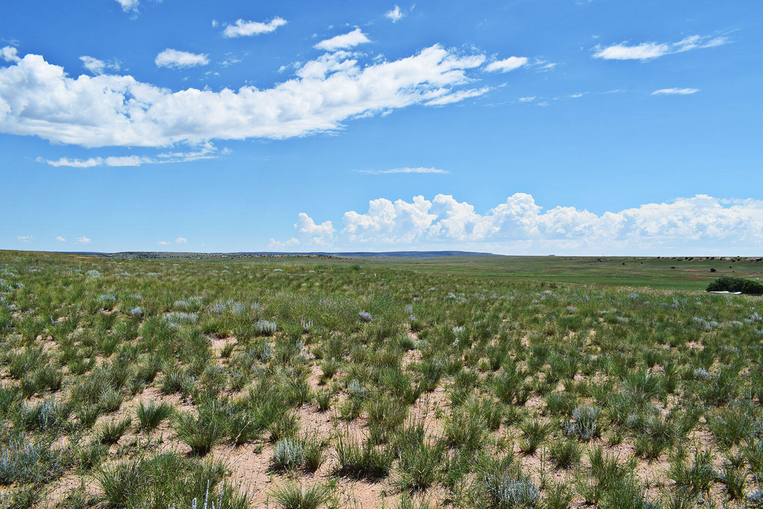 Lot 36 Estancia Ranchettes 6