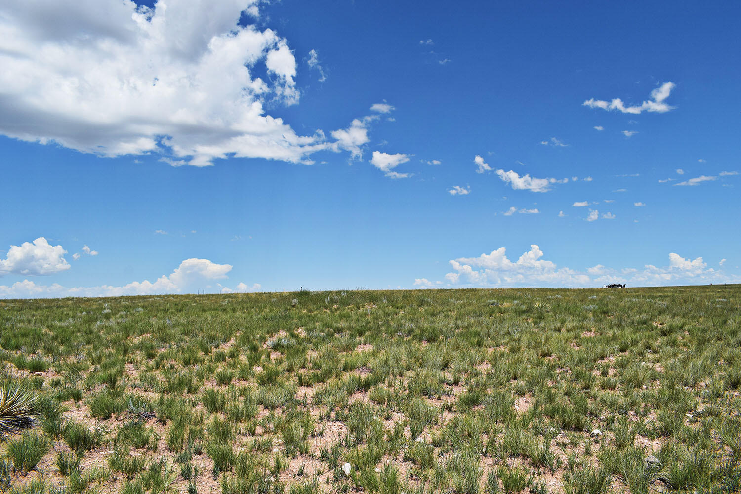 Lot 36 Estancia Ranchettes 6