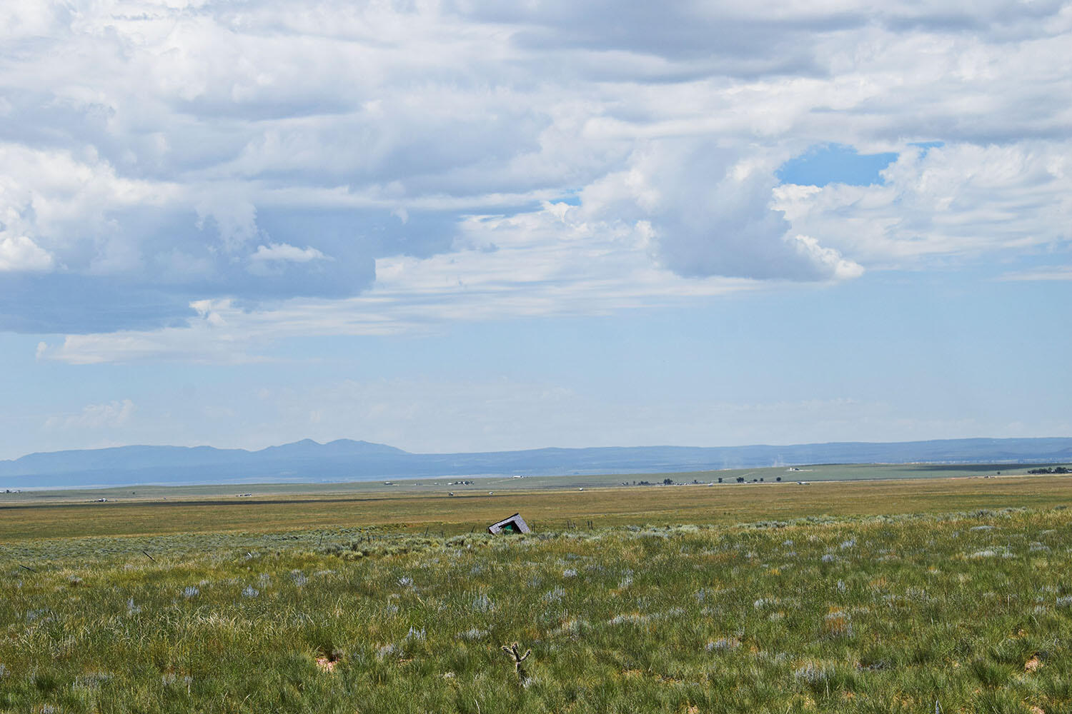 Lot 36 Estancia Ranchettes 6