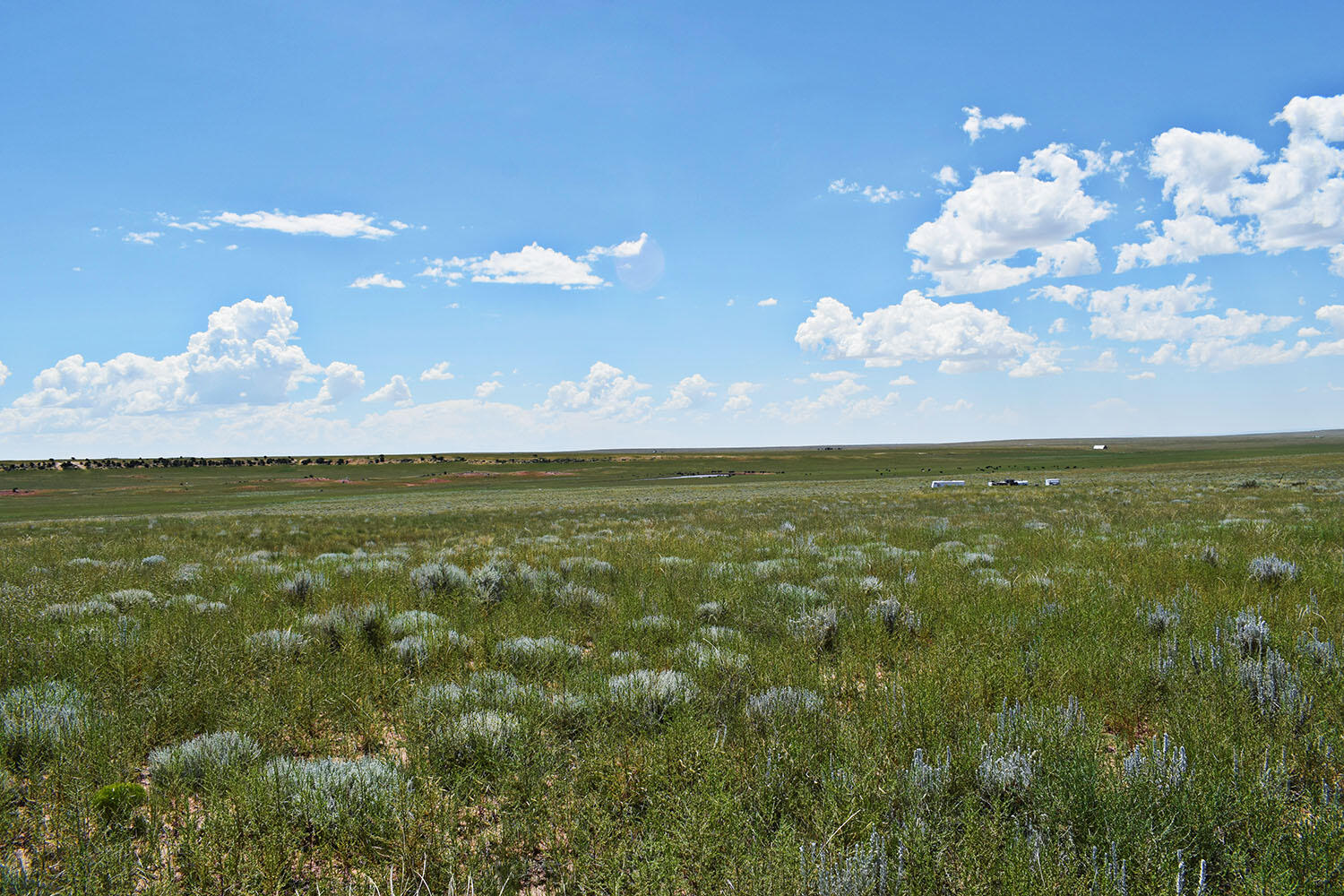 Lot 36 Estancia Ranchettes 6