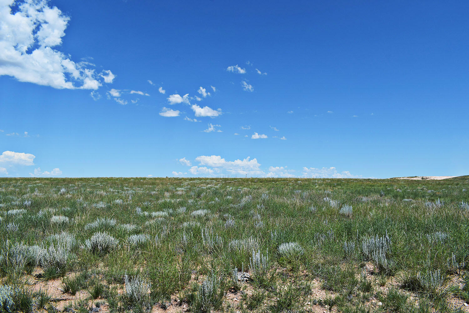 Lot 36 Estancia Ranchettes 6