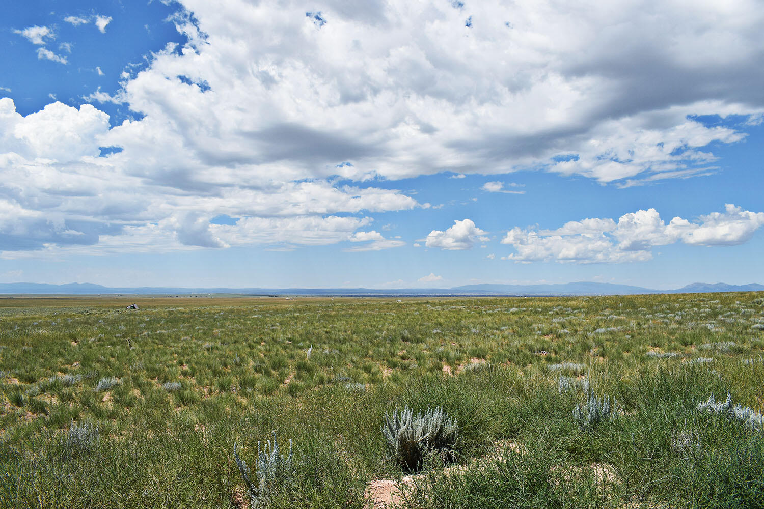 Lot 36 Estancia Ranchettes 6