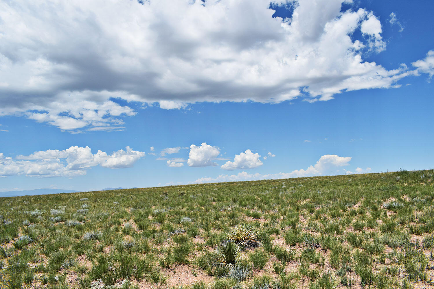 Lot 36 Estancia Ranchettes 6
