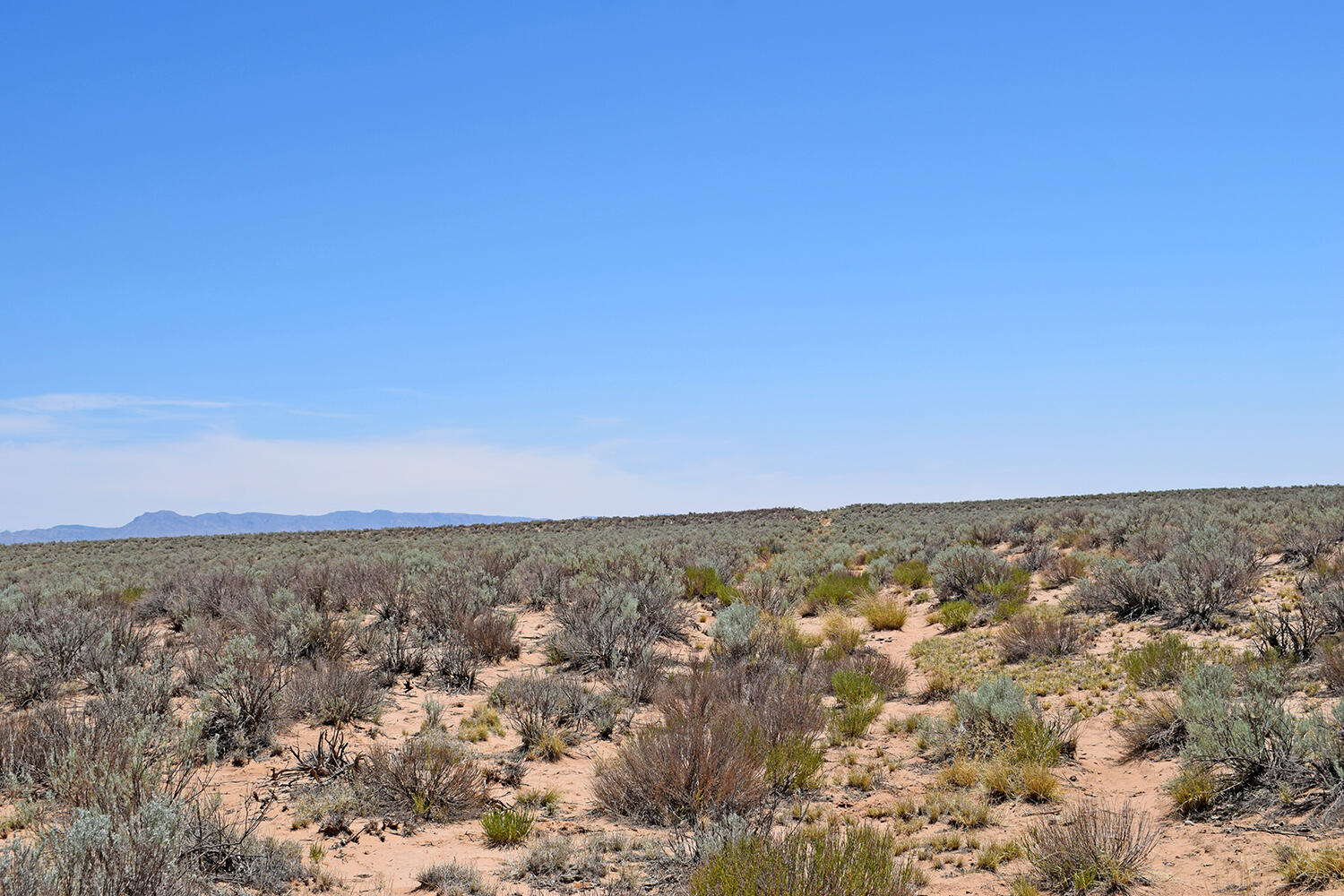 Lot 23 Rio Grande Estates U