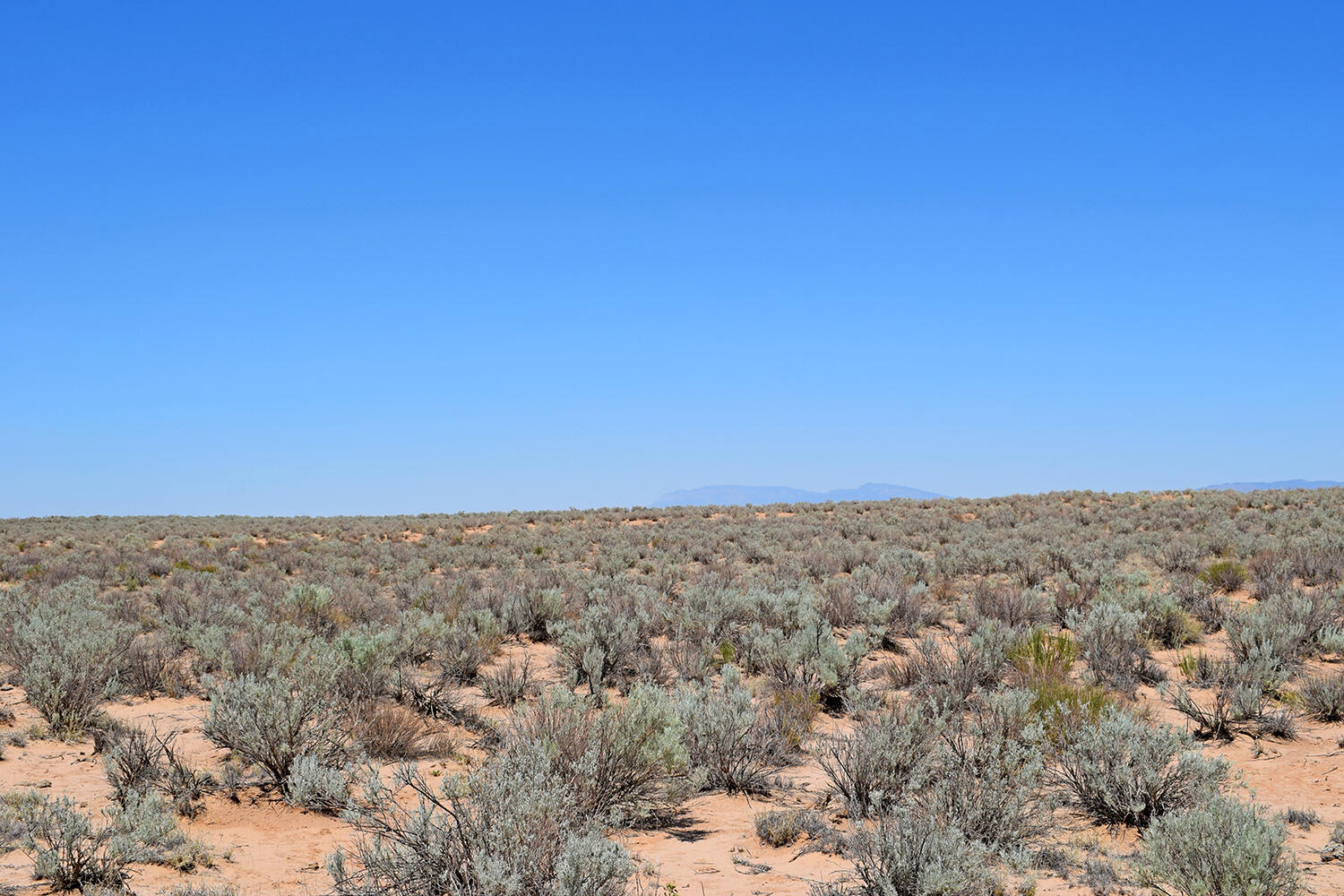 Lot 23 Rio Grande Estates U