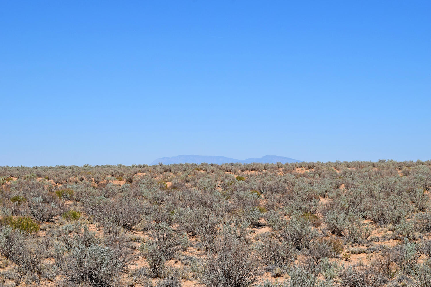 Lot 23 Rio Grande Estates U