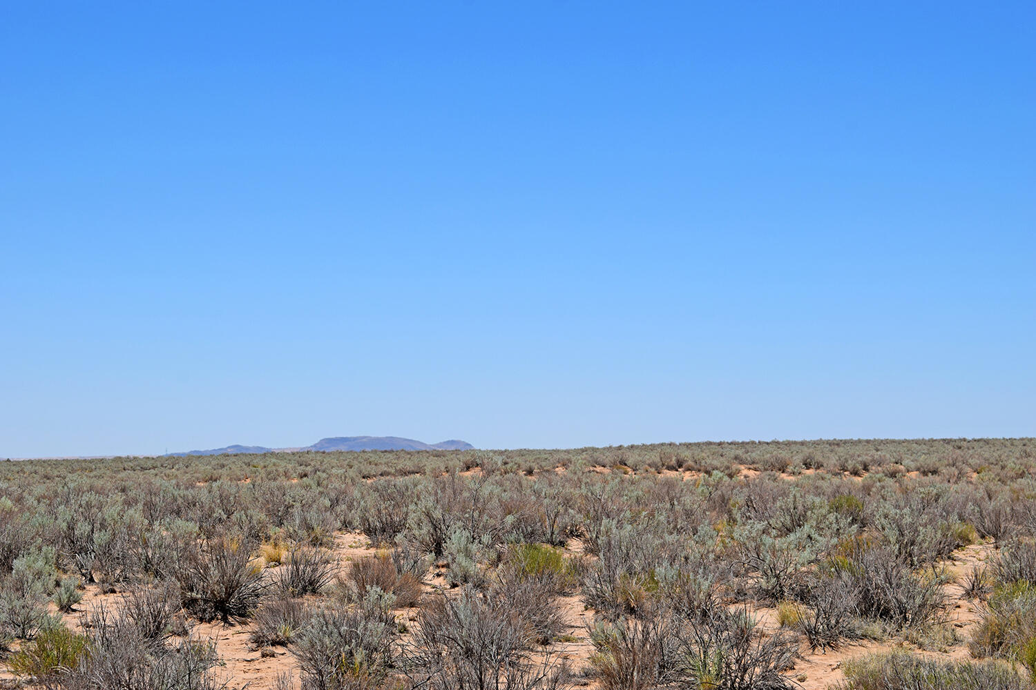 Lot 23 Rio Grande Estates U