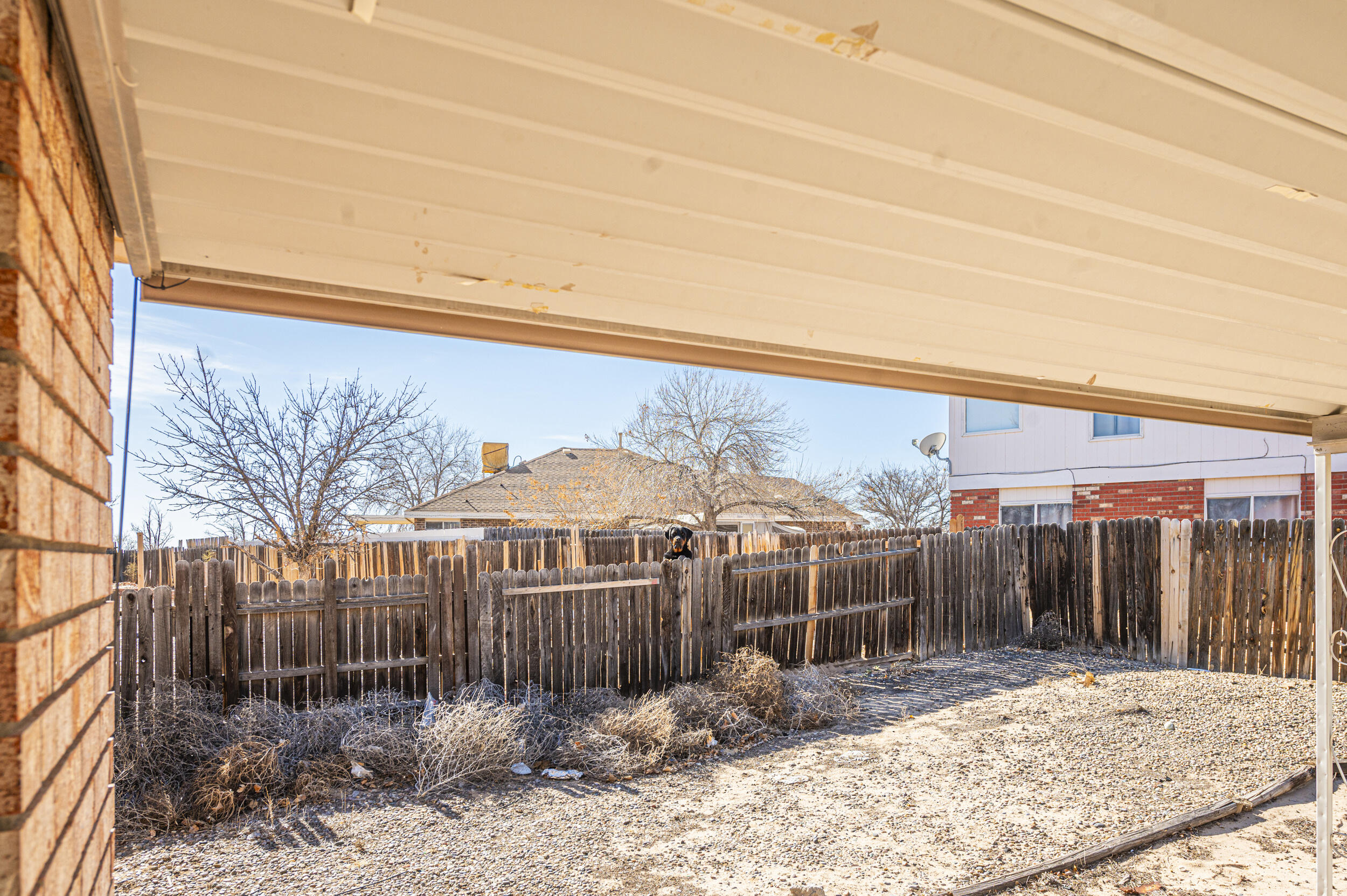 31 Buckbrush Place