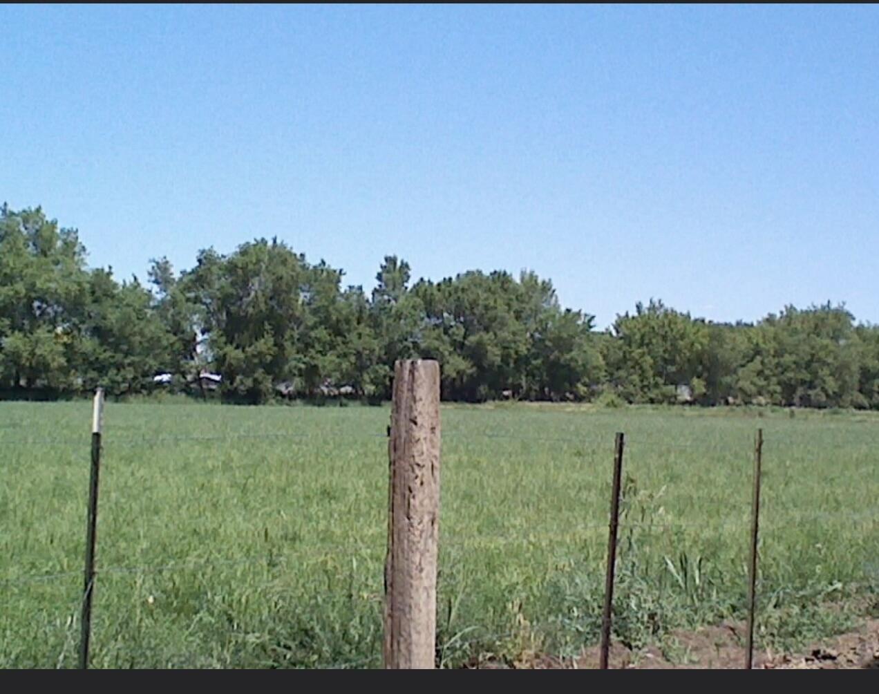 Coyote Lane