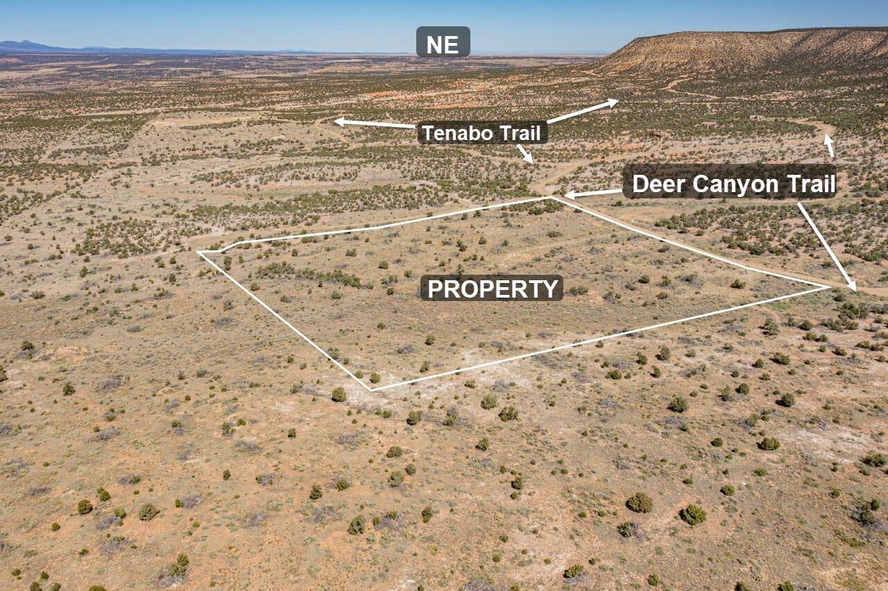 1701 Deer Canyon Trail