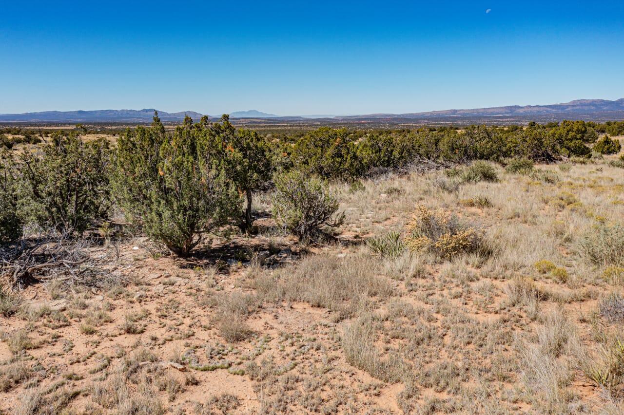 1701 Deer Canyon Trail