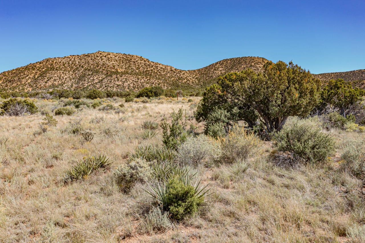 1701 Deer Canyon Trail