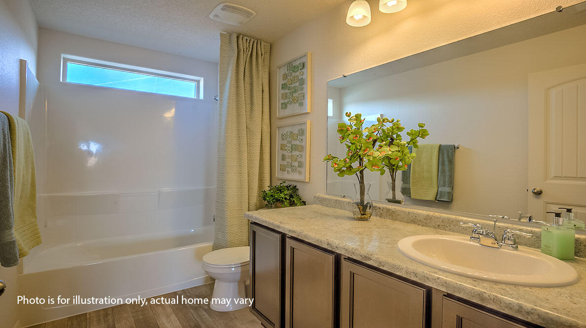 1545 Estrella Noche Loop NE