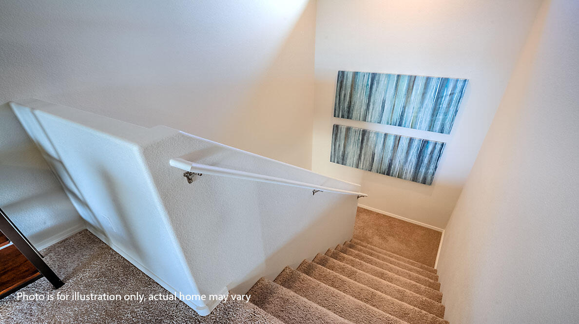 1545 Estrella Noche Loop NE