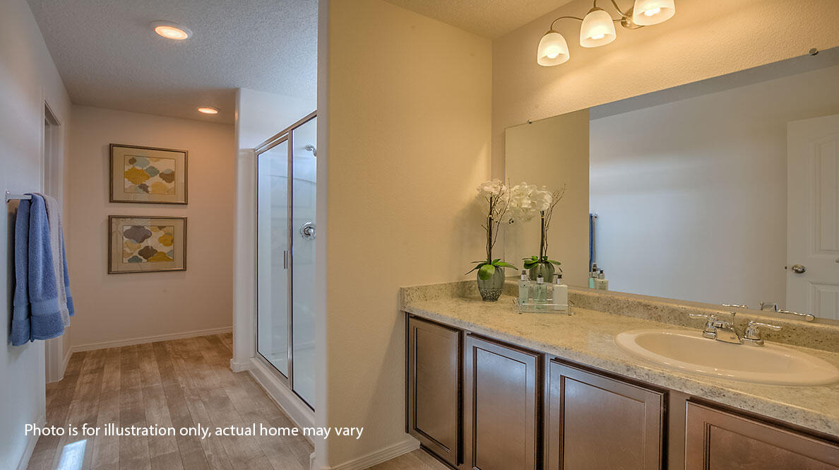 1545 Estrella Noche Loop NE