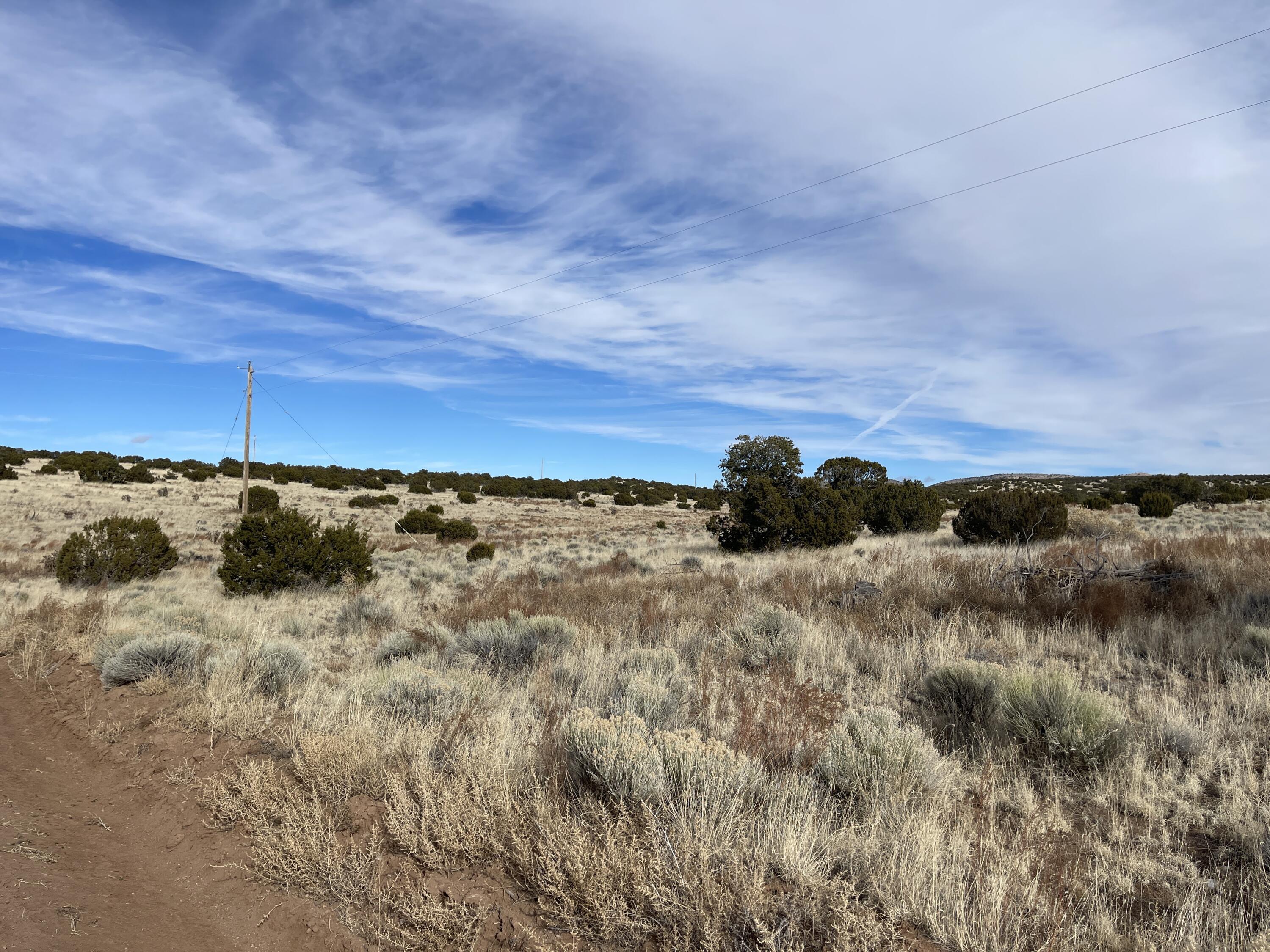 44 Lost Calf Lane
