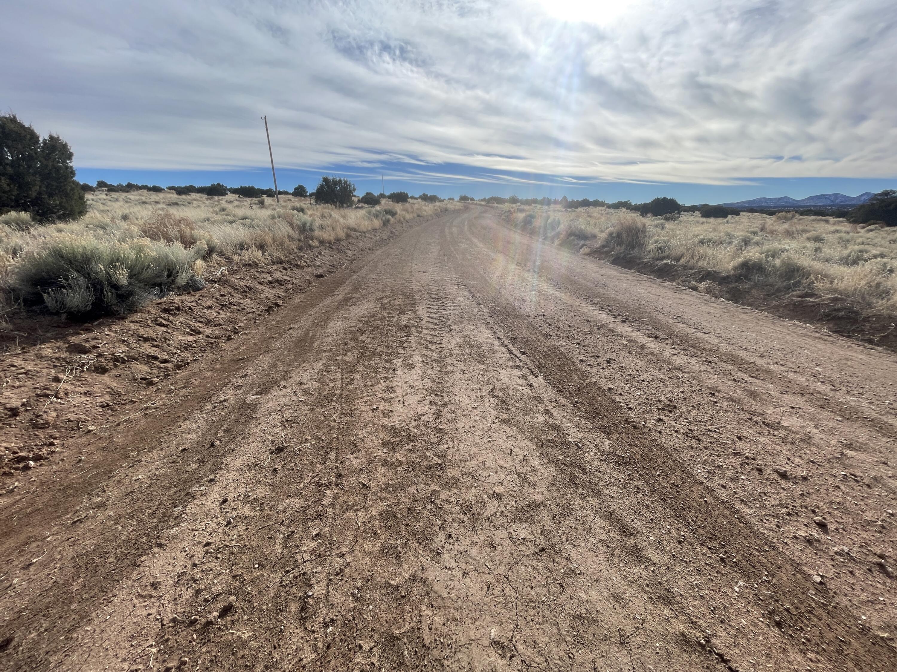 44 Lost Calf Lane