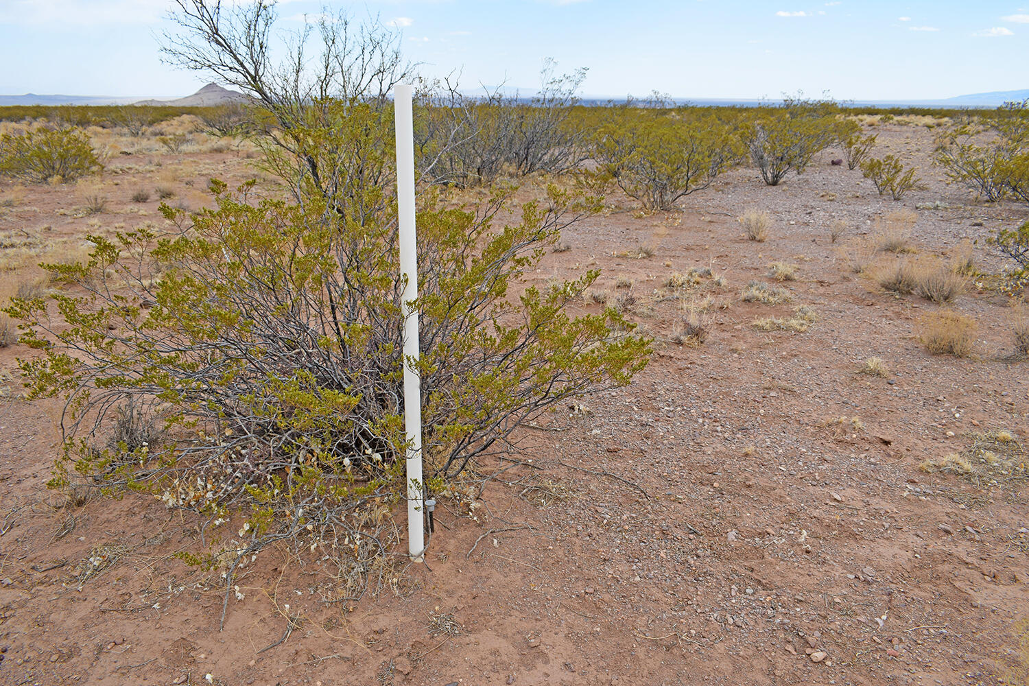 Lot 5 Bosque Trail