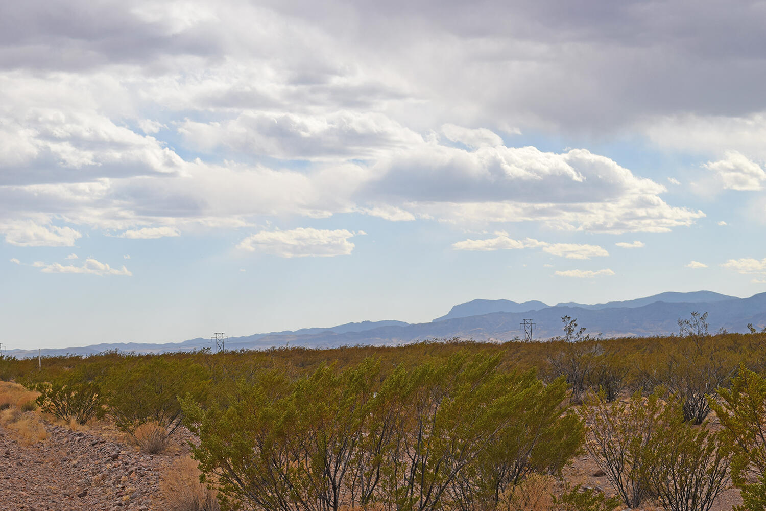 Lot 5 Bosque Trail