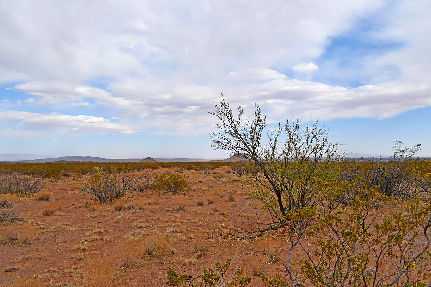 Lot 5 Bosque Trail