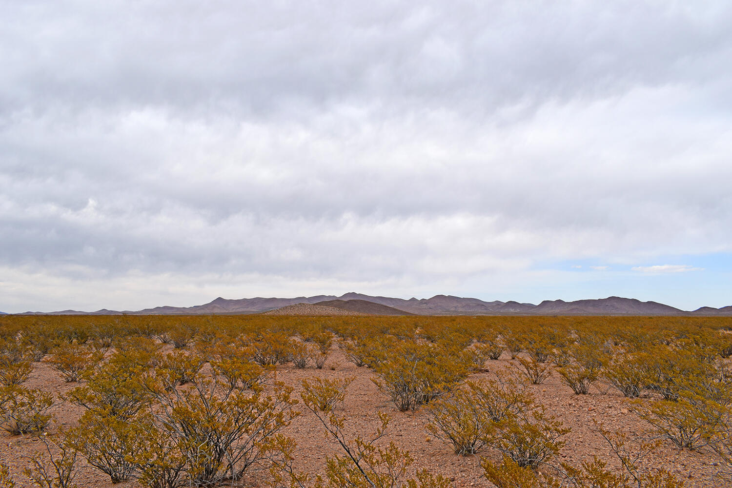 Lot 5 Bosque Trail